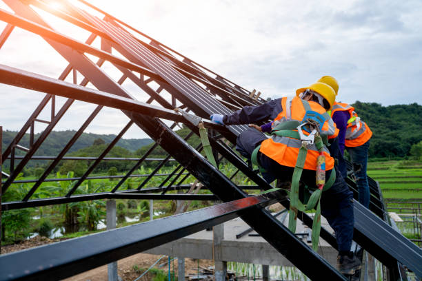 Best Roof Gutter Cleaning  in Hudson, MI
