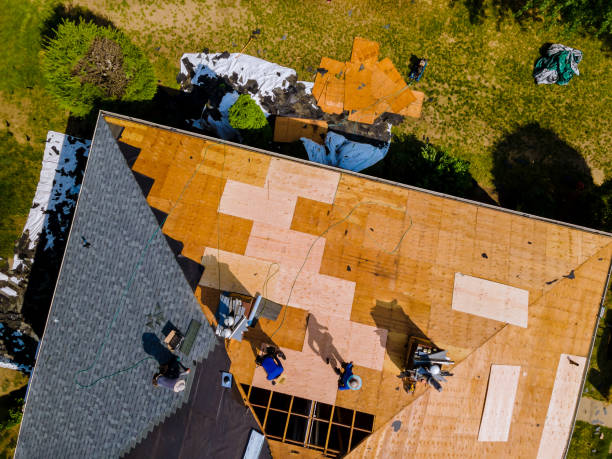 Best Roof Maintenance Services  in Hudson, MI