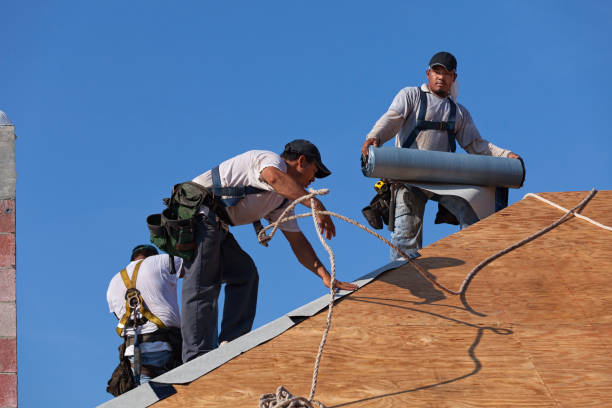Roof Gutter Cleaning in Hudson, MI