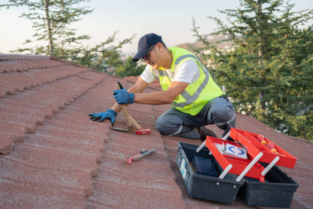 Best Best Roofing Contractors  in Hudson, MI