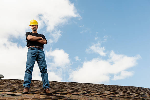 Best Sealant for Roof  in Hudson, MI