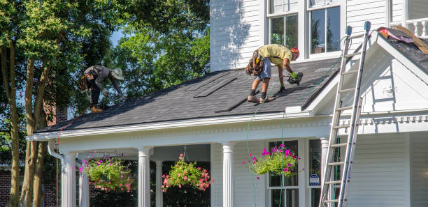 Best Metal Roofing Contractor  in Hudson, MI