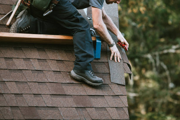 Best Roof Leak Repair  in Hudson, MI