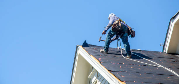 Best Shingle Roofing Installation  in Hudson, MI